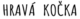 Hravákočka.cz logo
