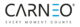 Carneo.cz logo