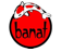Jezírkabanat.cz logo