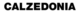 Calzedonia.com logo