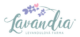 Levandulezmoravy.cz logo