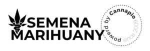 Semena-marihuany.cz logo