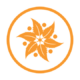 VitasLife.store logo