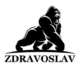Zdravoslav.cz logo